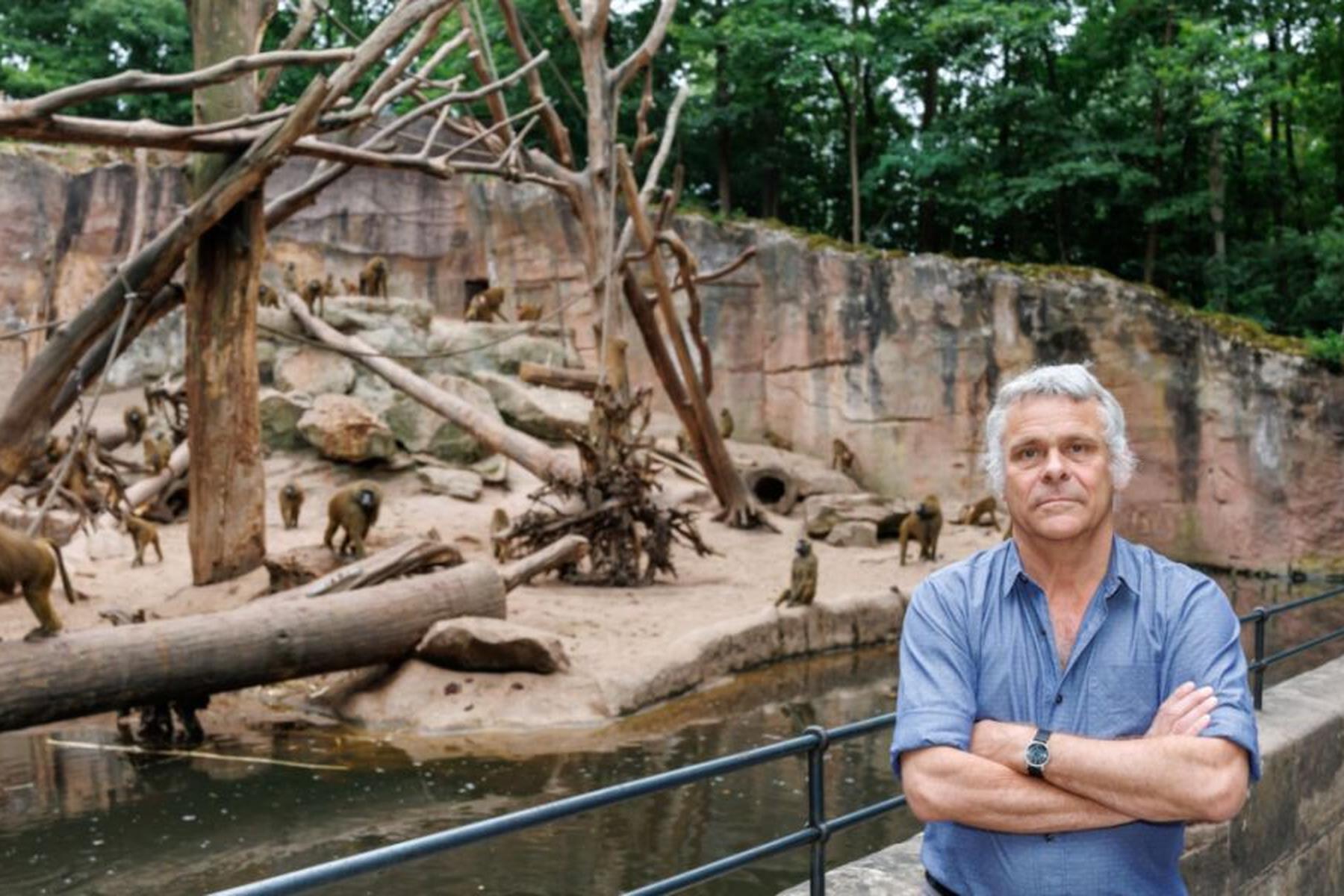 Nürnberg: Morddrohungen gegen Nürnberger Zoo-Direktor nach Affentötung