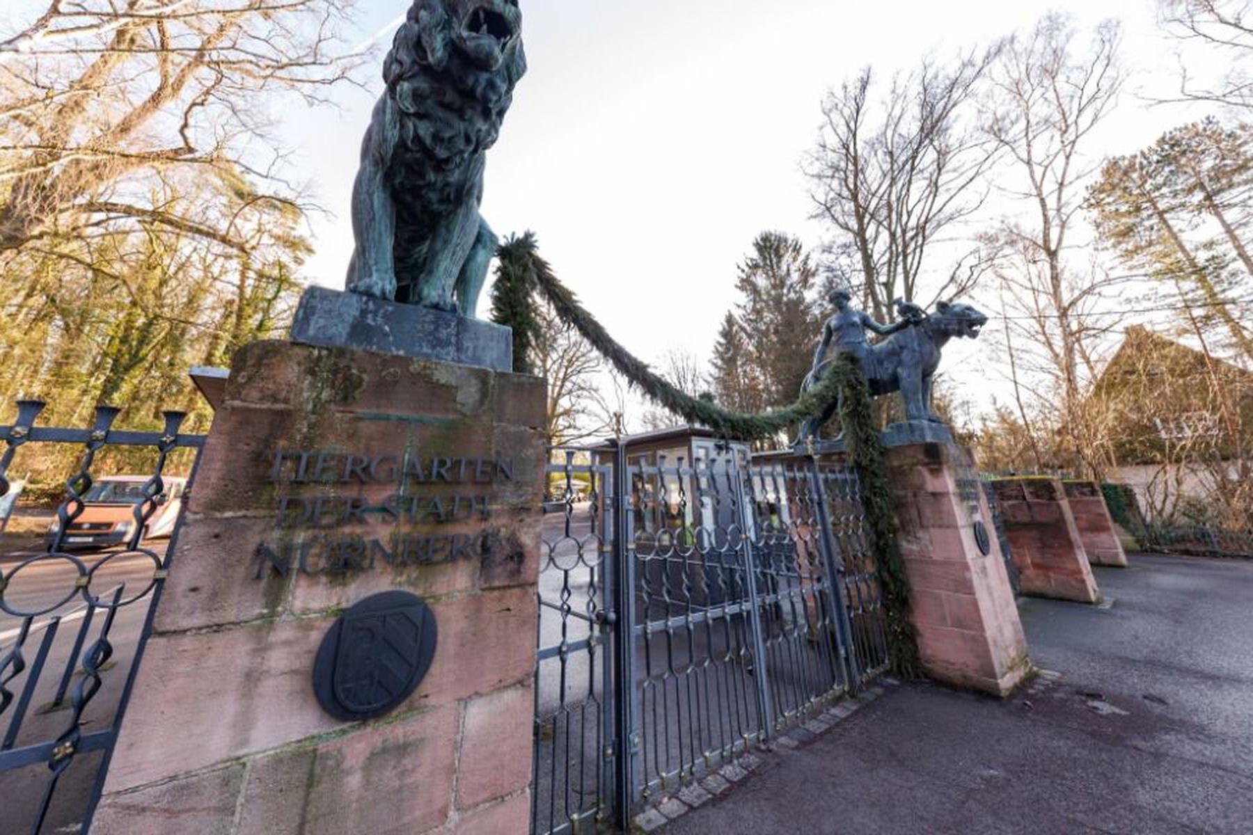 Nürnberg: In Nürnberg getötete Paviane an Raubtiere verfüttert