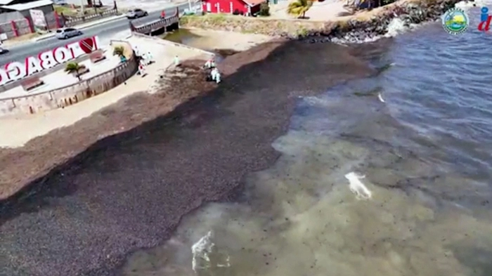 Videoaufnahmen zeigen Einsatzkräfte beim Reinigen eines Strandes | Videoaufnahmen zeigen Einsatzkräfte beim Reinigen eines Strandes