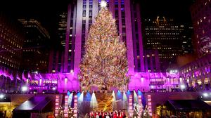 Etwa 50.000 Lichter am weltberühmten Weihnachtsbaum | Etwa 50.000 Lichter am weltberühmten Weihnachtsbaum