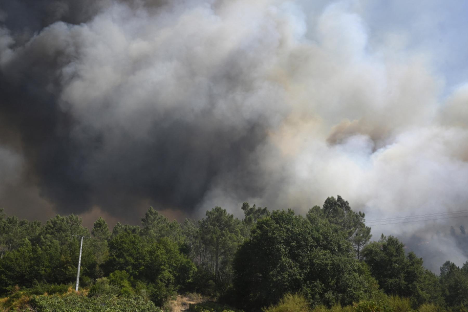 Madrid: Waldbrände in Spanien zerstörten weitere 30.000 Hektar Land