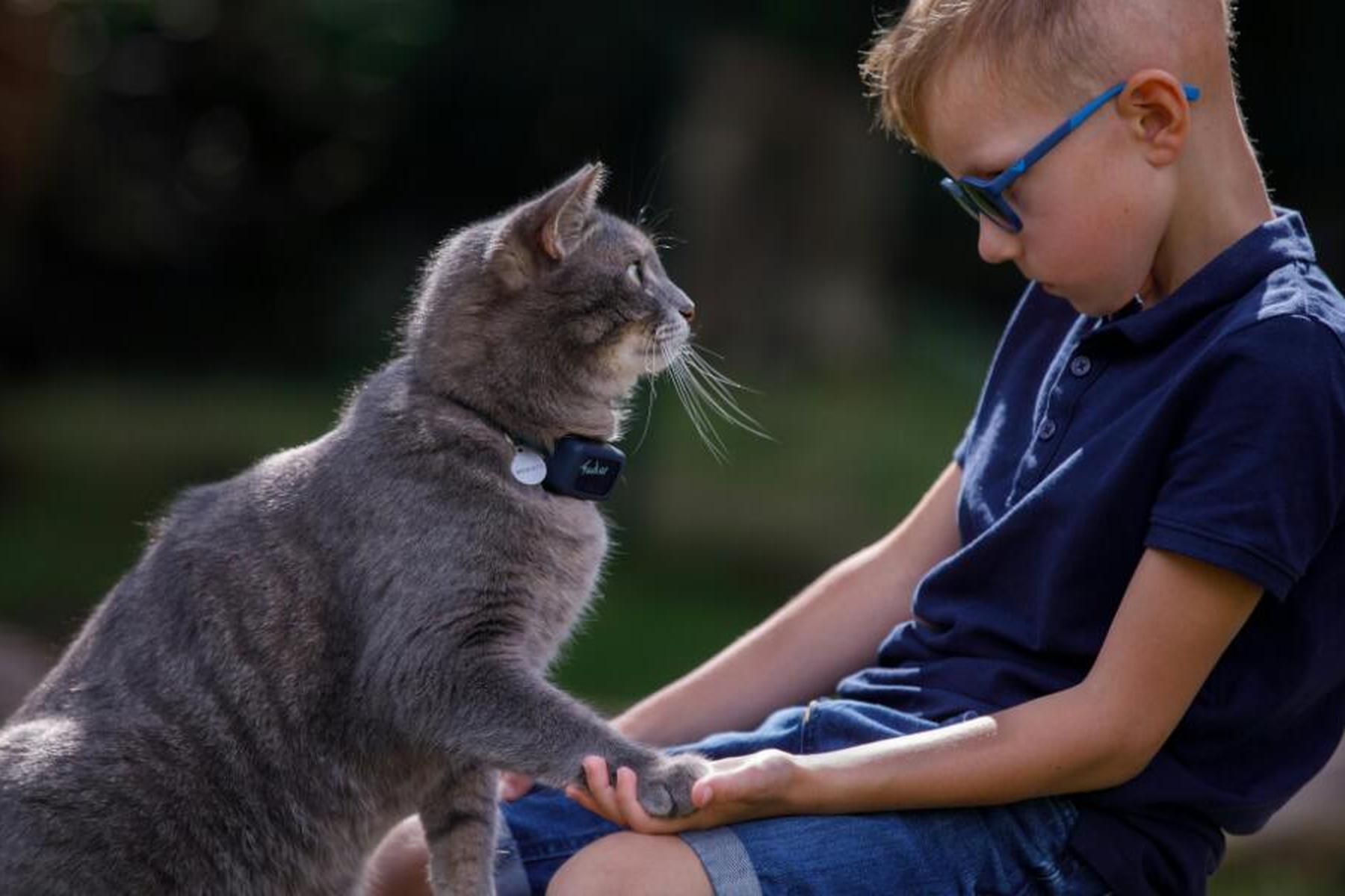 Terapevtske mačke v pomoč otrokom v Dunaju in Luzernu