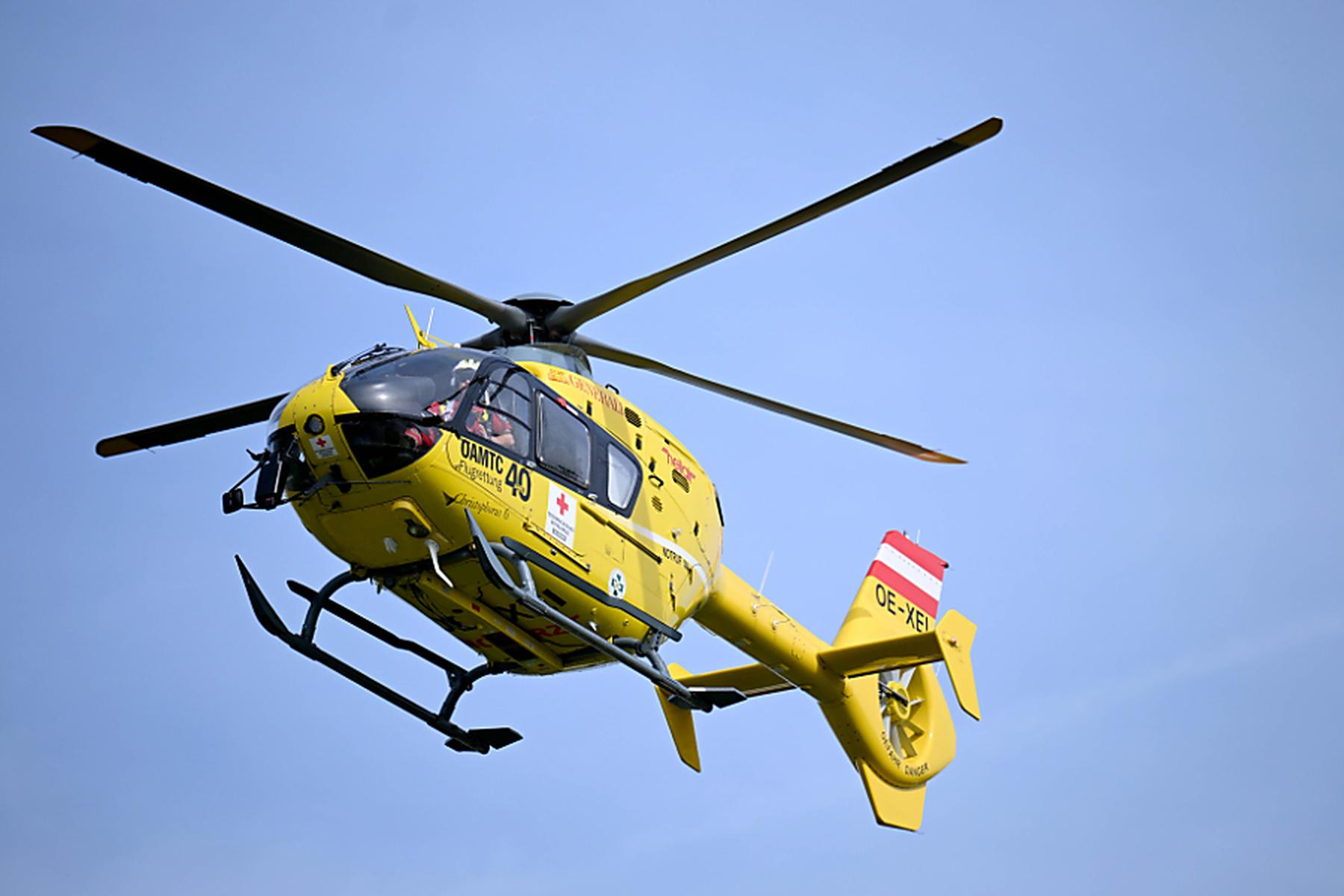 Bregenz: Steinbockgeiß versperrte Alpinisten in Vorarlberg den Weg