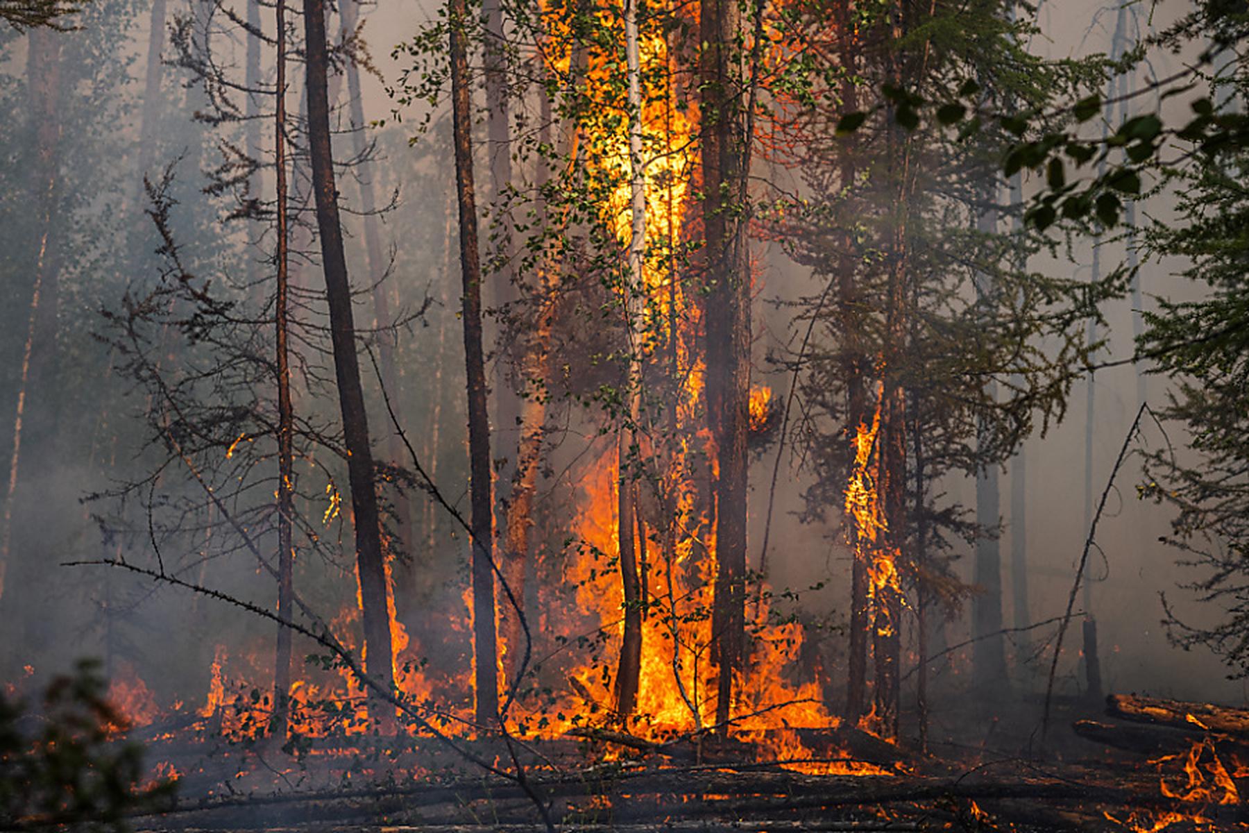 Reading: Ausgedehnte Wald- und Flächenbrände im Nordosten Russlands