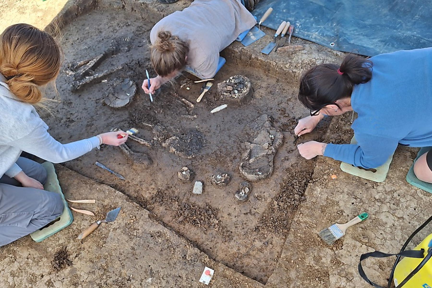 Dingolfing: 6.800 Jahre altes Skelett in Niederbayern ausgegraben