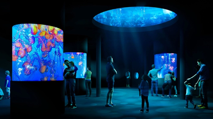 So soll ein Teil des Artenschutz-Aquariums aussehen | So soll ein Teil des Artenschutz-Aquariums aussehen