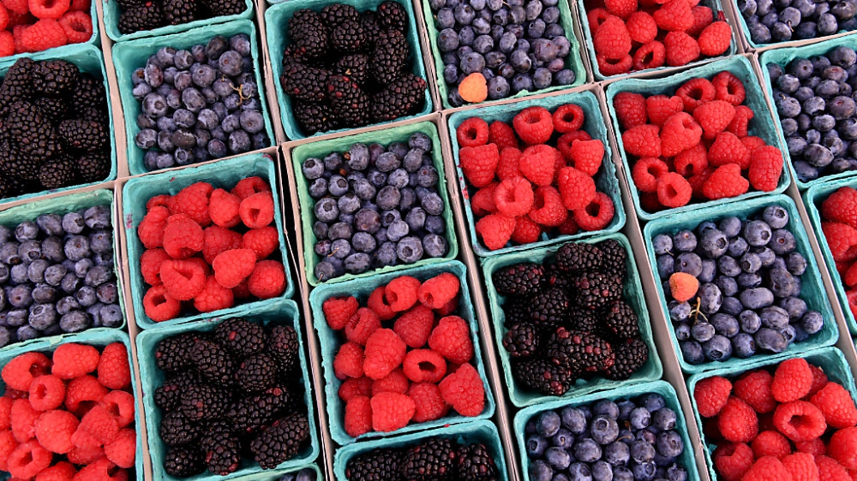 Vor allem im Winter ergänzen Tiefkühlprodukte das Frischwaren-Angebot | Vor allem im Winter ergänzen Tiefkühlprodukte das Frischwaren-Angebot