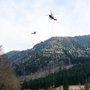 Ein Waldbrand in Niederösterreich beschäftigt seit Samstag die Helfer