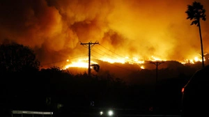 Das Feuerinferno zerstörte weite Teile des Nobelvororts | Das Feuerinferno zerstörte weite Teile des Nobelvororts