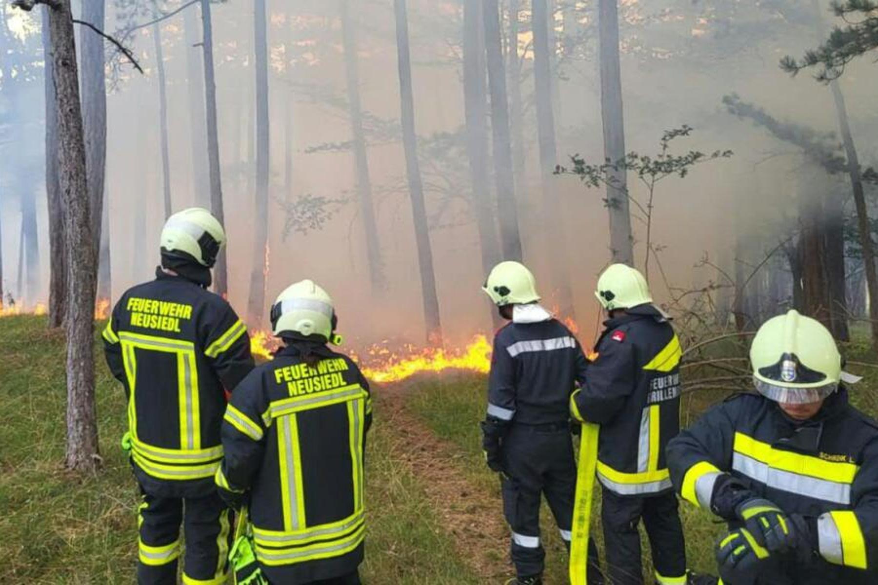 Hernstein: 60 Feuerwehrleute löschten Waldbrand in Niederösterreich