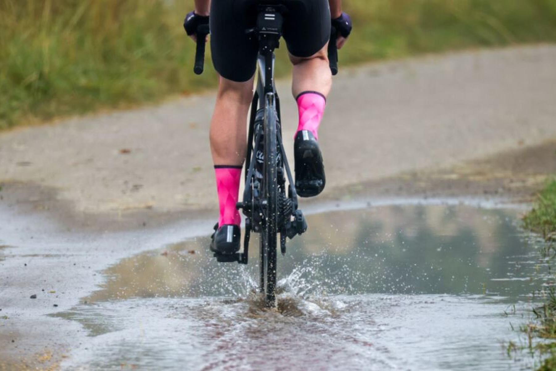 Linz: Auffälligkeit eines Hundes in Linz vom Gericht bestätigt