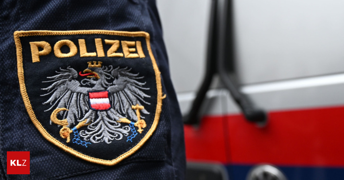 Einweisung-Lebensm-der-Steirer-trat-auf-eingreifende-Polizisten-ein