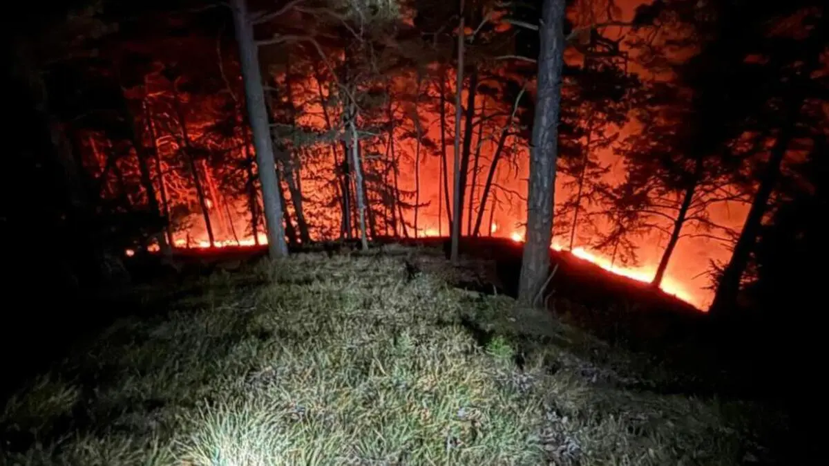 Kurz vor Silvester brannte in Semriach ein Waldstück | Kurz vor Silvester brannte in Semriach ein Waldstück