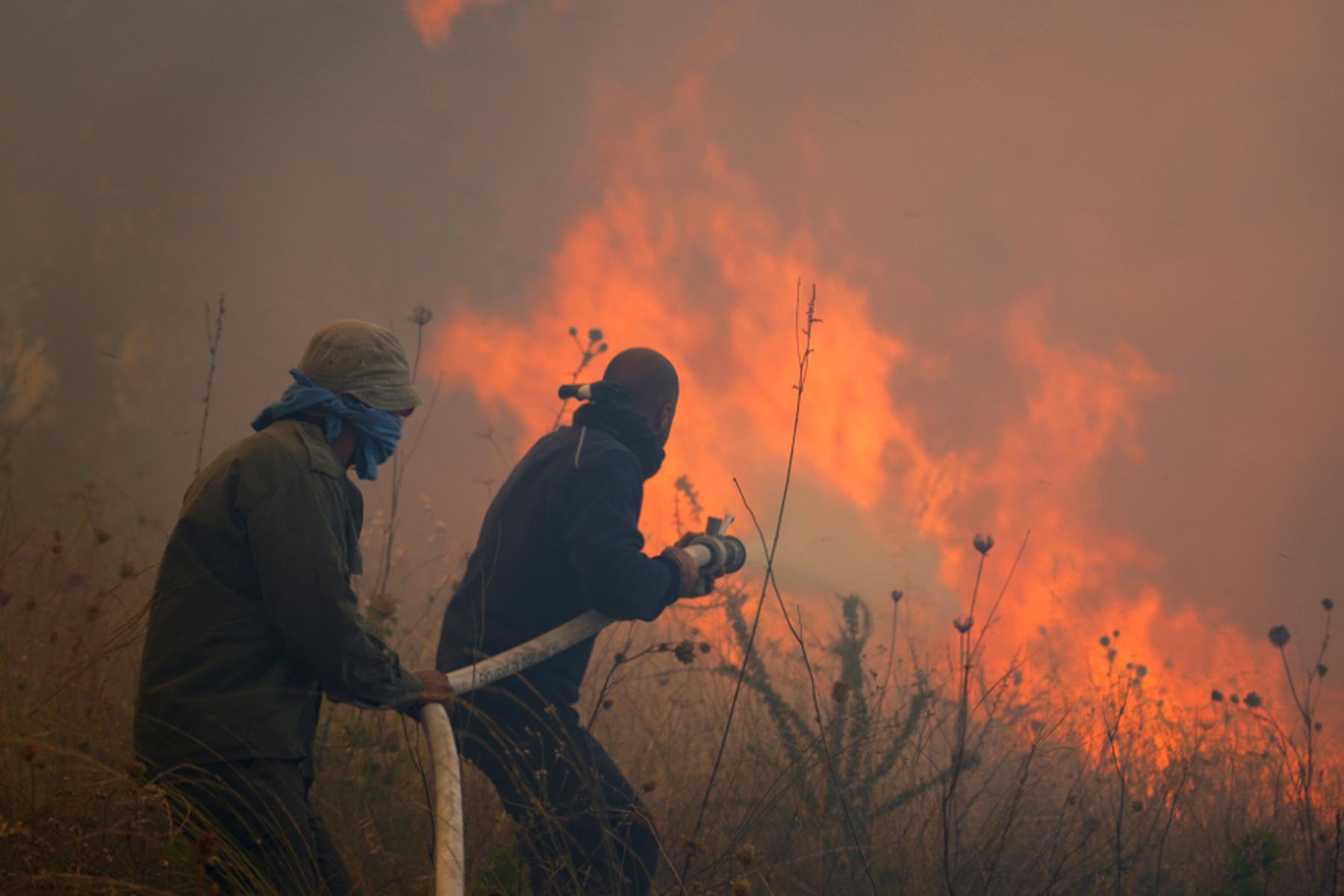 Nikosia: Waldbrand auf Zypern ist unter Kontrolle