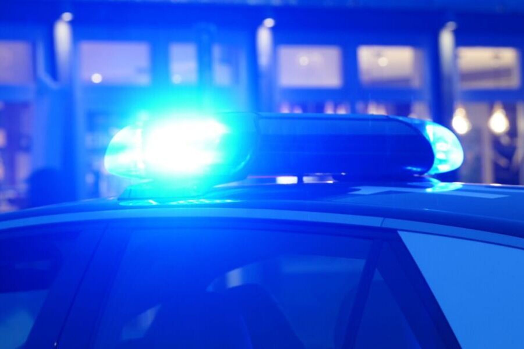 Kurioser Einsatz: Schlangenalarm führte Polizei zu Cannabisr