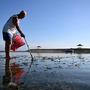 Mann beim Aufklauben von Plastikmüll am Strand von Sanur | Mann beim Aufklauben von Plastikmüll am Strand von Sanur