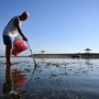 Mann beim Aufklauben von Plastikmüll am Strand von Sanur | Mann beim Aufklauben von Plastikmüll am Strand von Sanur
