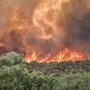 Waldbrände werden durch die Erderwärmung häufiger und heftiger | Waldbrände werden durch die Erderwärmung häufiger und heftiger