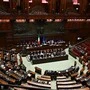 Italienisches Parlament beschloss härtere Strafen gegen Tierquälerei | Italienisches Parlament beschloss härtere Strafen gegen Tierquälerei