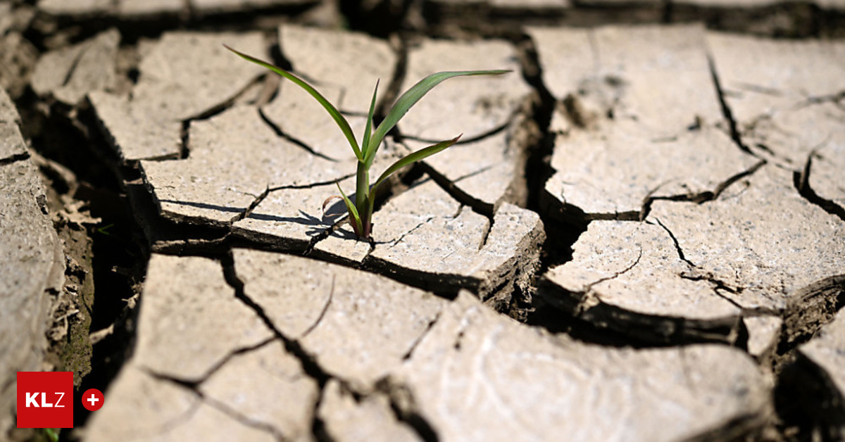 El Niño is coming and pouring 