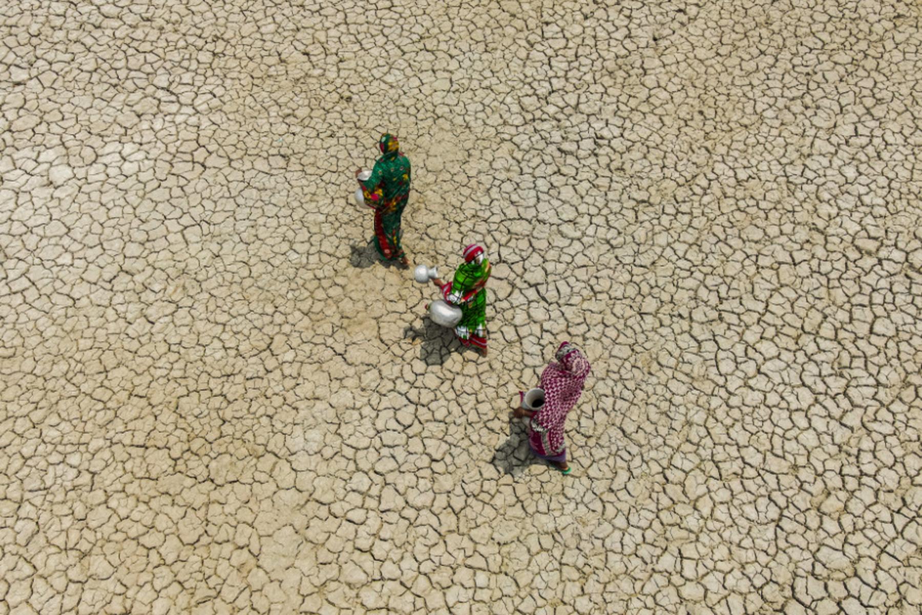 Washington: US-Behörde löscht Informationen zum Klimawandel von Websites