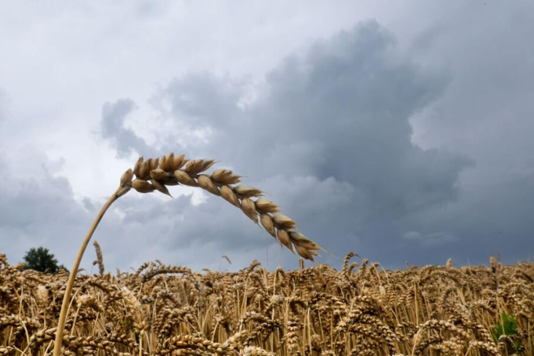 Wien: Sommer 2025 unter den Top Ten der Messgeschichte