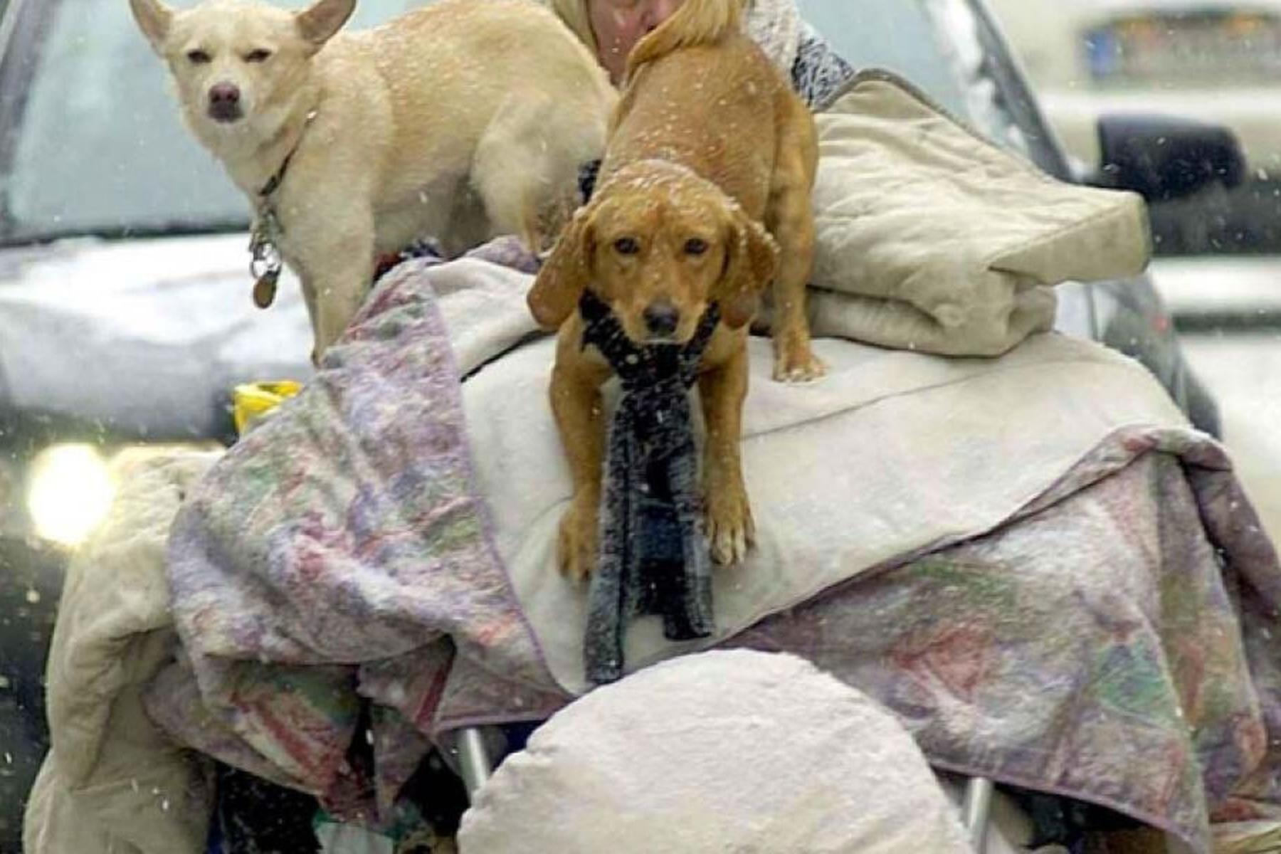 Wien: Caritas-Kältetelefon und Winternothilfe in Wien