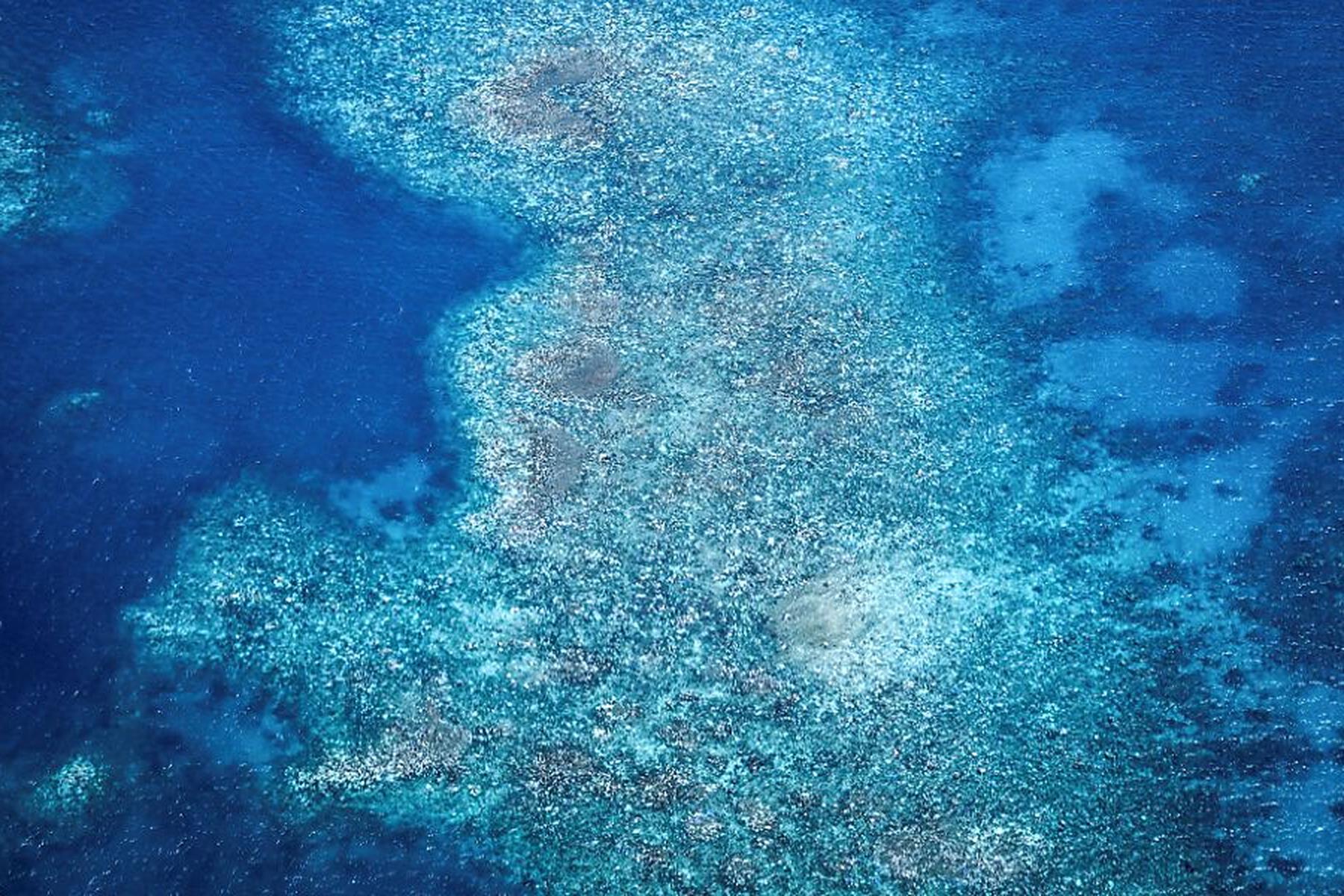 Melbourne: Höchste Temperatur am Great Barrier Reef seit 400 Jahren