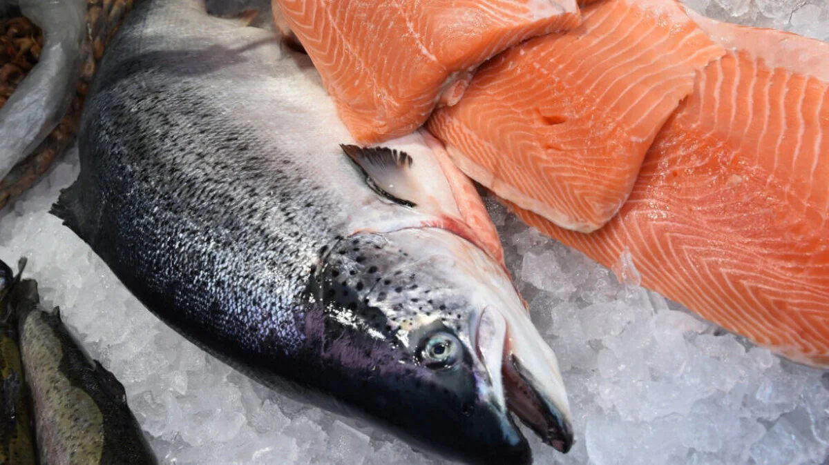 Herkunft des Fischs für Lachsprodukte oft kaum herauszufinden | Herkunft des Fischs für Lachsprodukte oft kaum herauszufinden