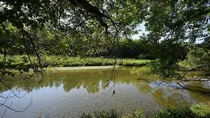 Ziel der Renaturierung: Intakte Ökosysteme (Im Bild: die Traisen) | Ziel der Renaturierung: Intakte Ökosysteme (Im Bild: die Traisen)