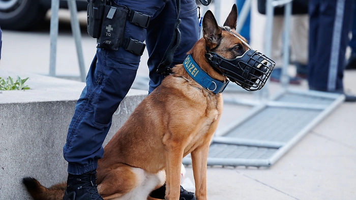Auch Polizeihunde wurden zum Einsatz herangezogen | Auch Polizeihunde wurden zum Einsatz herangezogen