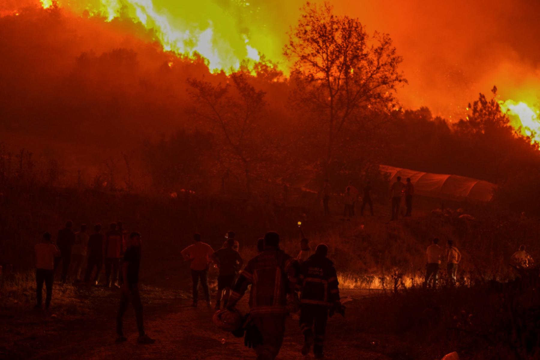 Bursa: Tote bei Waldbrandbekämpfung in der Türkei