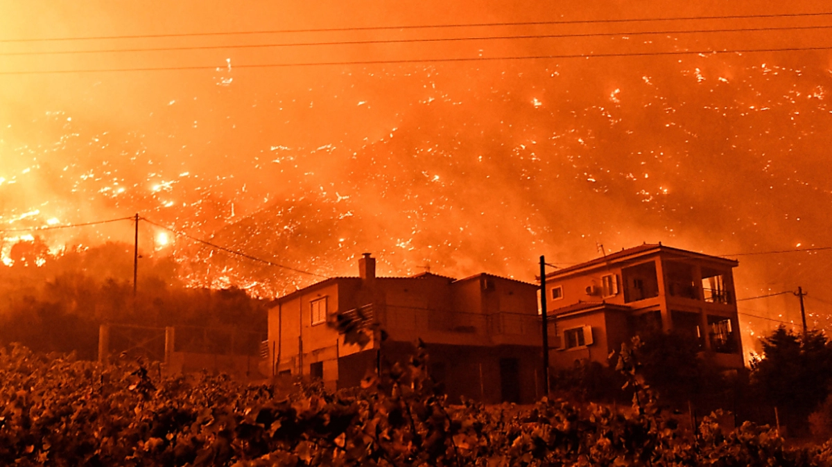 Seit Sonntag sind Hunderte Feuerwehrleute im Einsatz | Seit Sonntag sind Hunderte Feuerwehrleute im Einsatz