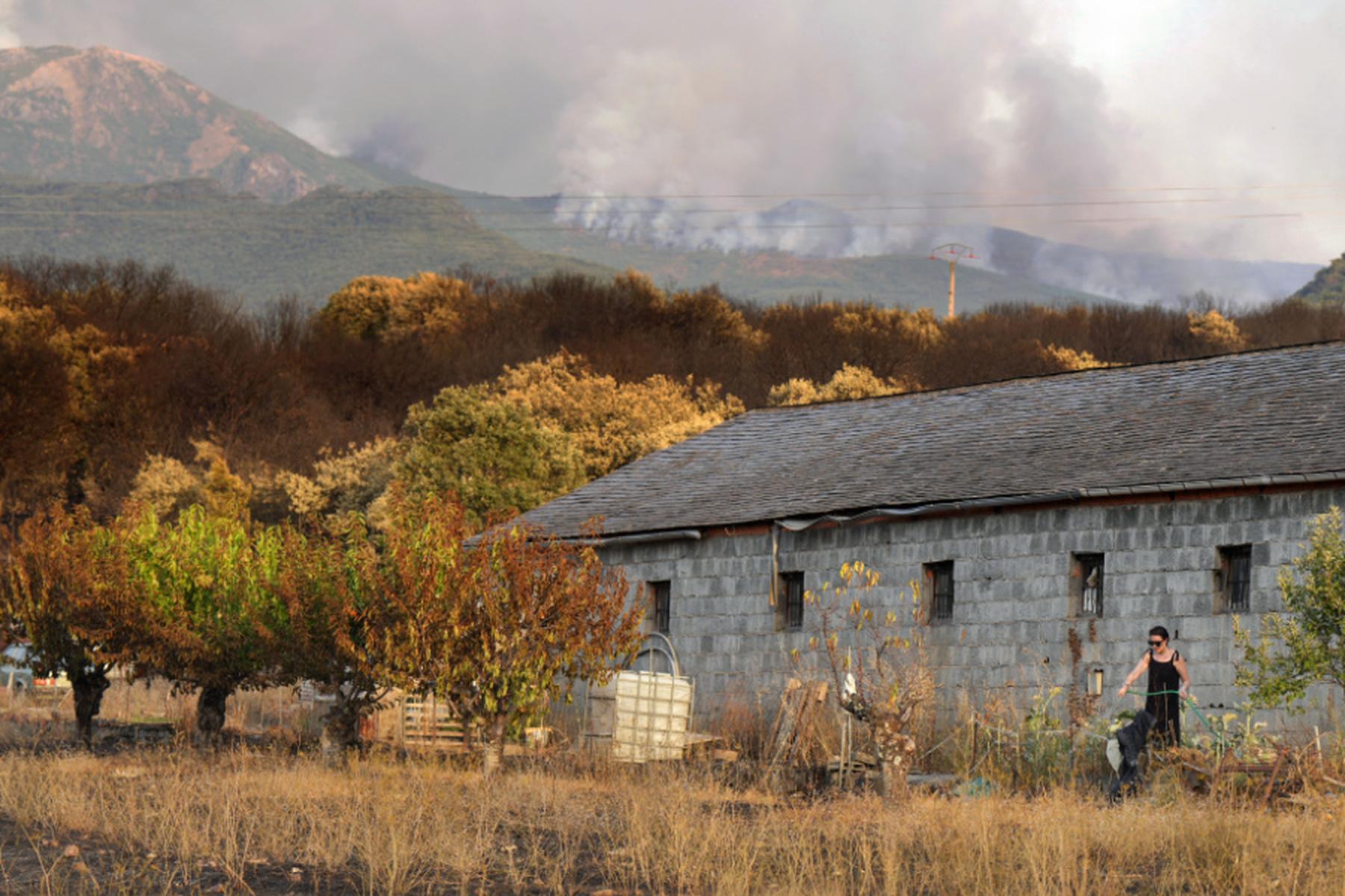 Cadiz: Tausende wegen Waldbrand nahe Tarifa evakuiert
