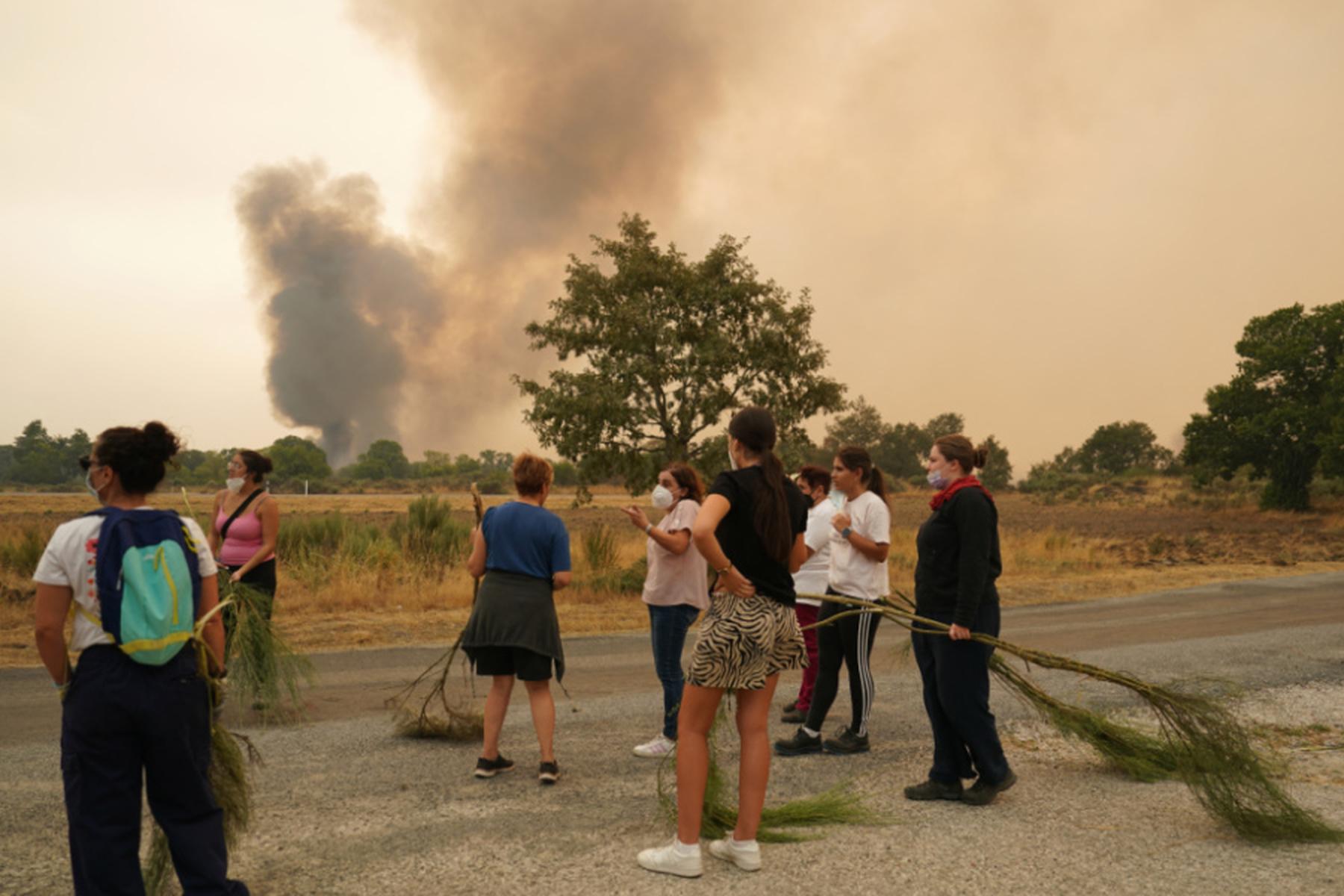 Lissabon/Madrid: Wind erschwert Löscharbeiten in Spanien