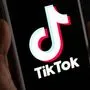 Plattformen wie TikTok werden kritisch gesehen | Plattformen wie TikTok werden kritisch gesehen