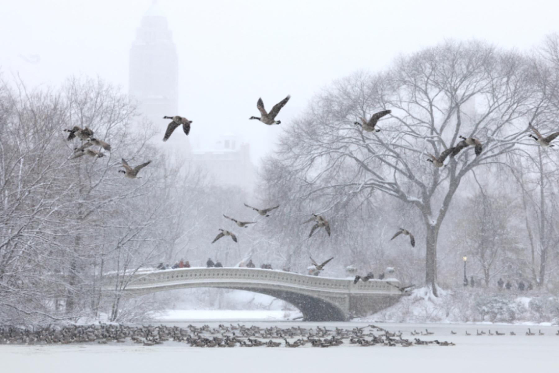 New York: Wintersturm legt Flugverkehr im Nordosten der USA lahm