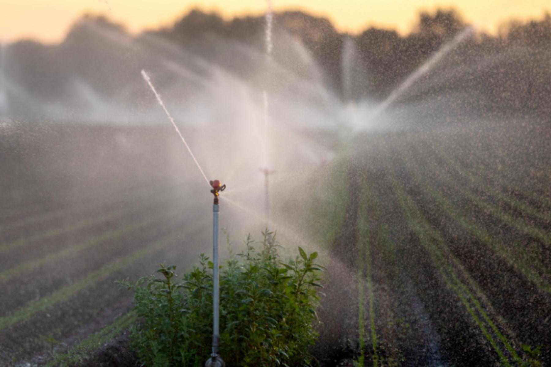 Wien: Grundwasserstände auf Tiefstand: Greenpeace will Maßnahmen