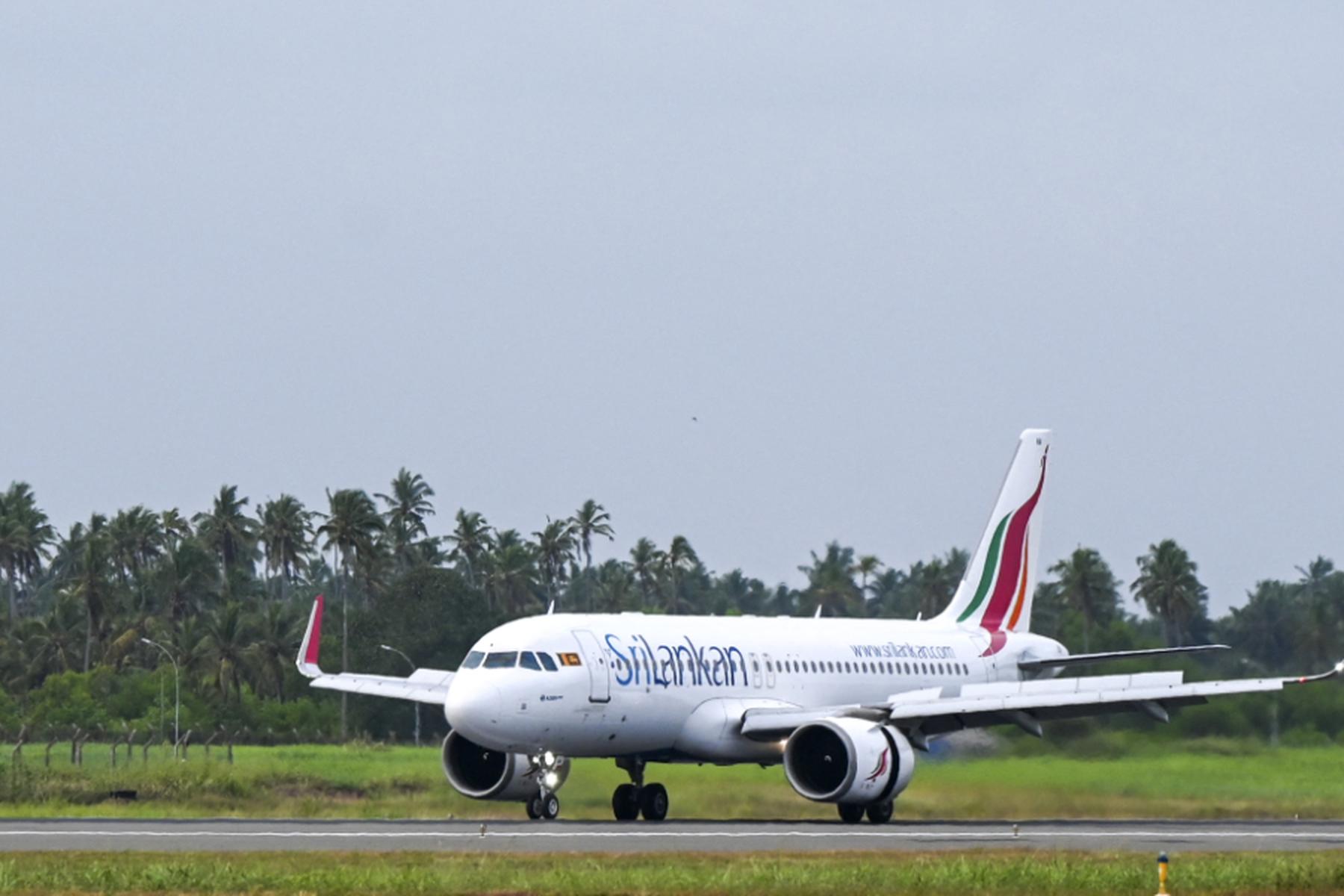Colombo: Ratte brachte Flugverkehr in Sri Lanka durcheinander