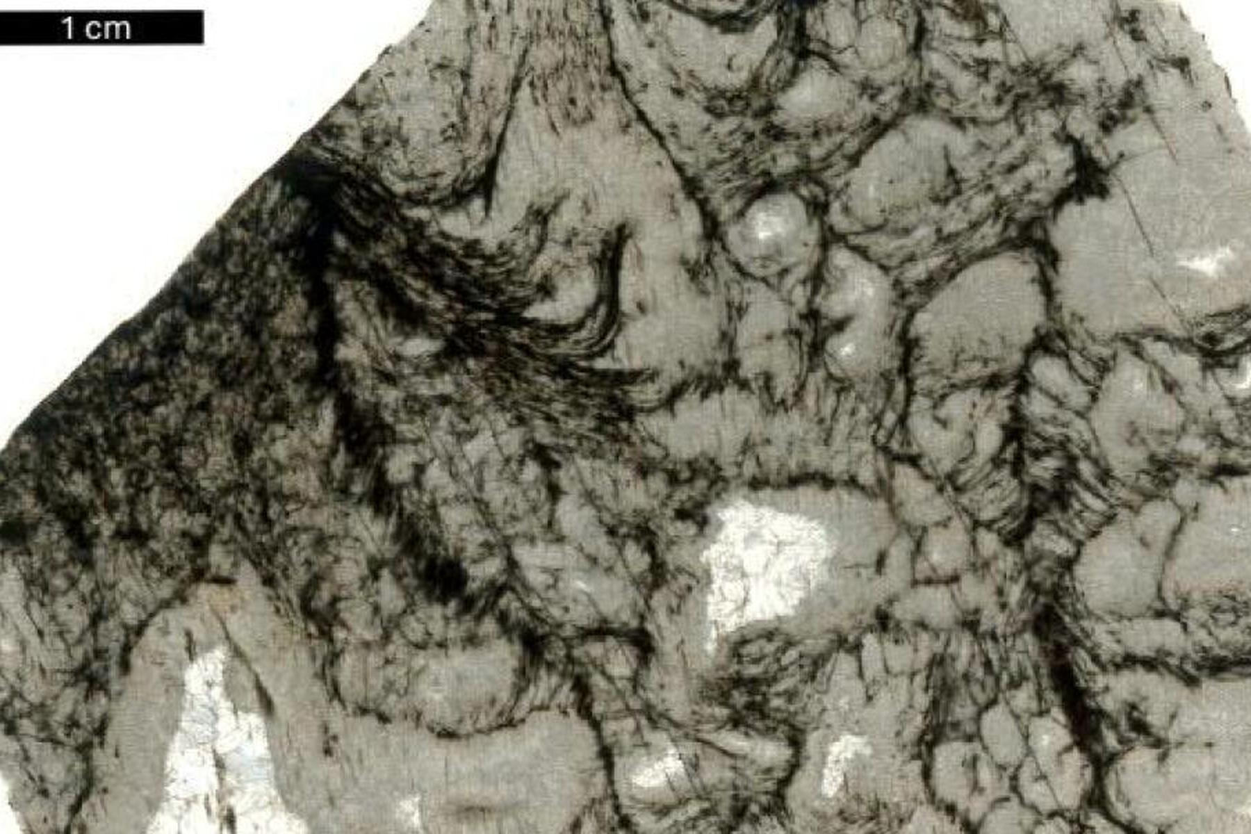 Wien/Graz/Washington: Forscher und KI fanden "Echo des Lebens" in uraltem Gestein