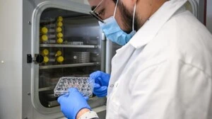 Die Erforschung von Mikroben in Tumoren ist anspruchsvoll | Die Erforschung von Mikroben in Tumoren ist anspruchsvoll