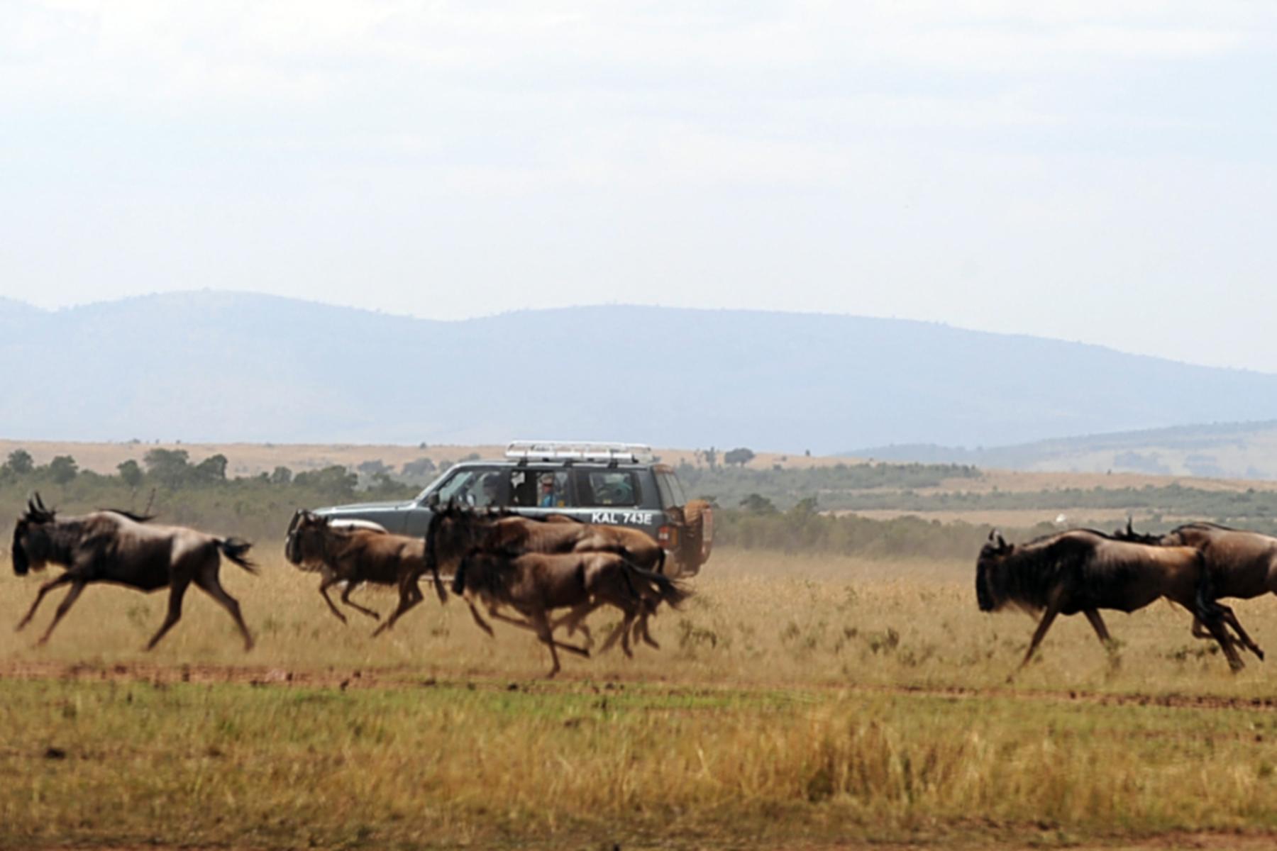 Nairobi: Touristen kommen bei Flugzeugabsturz in Kenia ums Leben