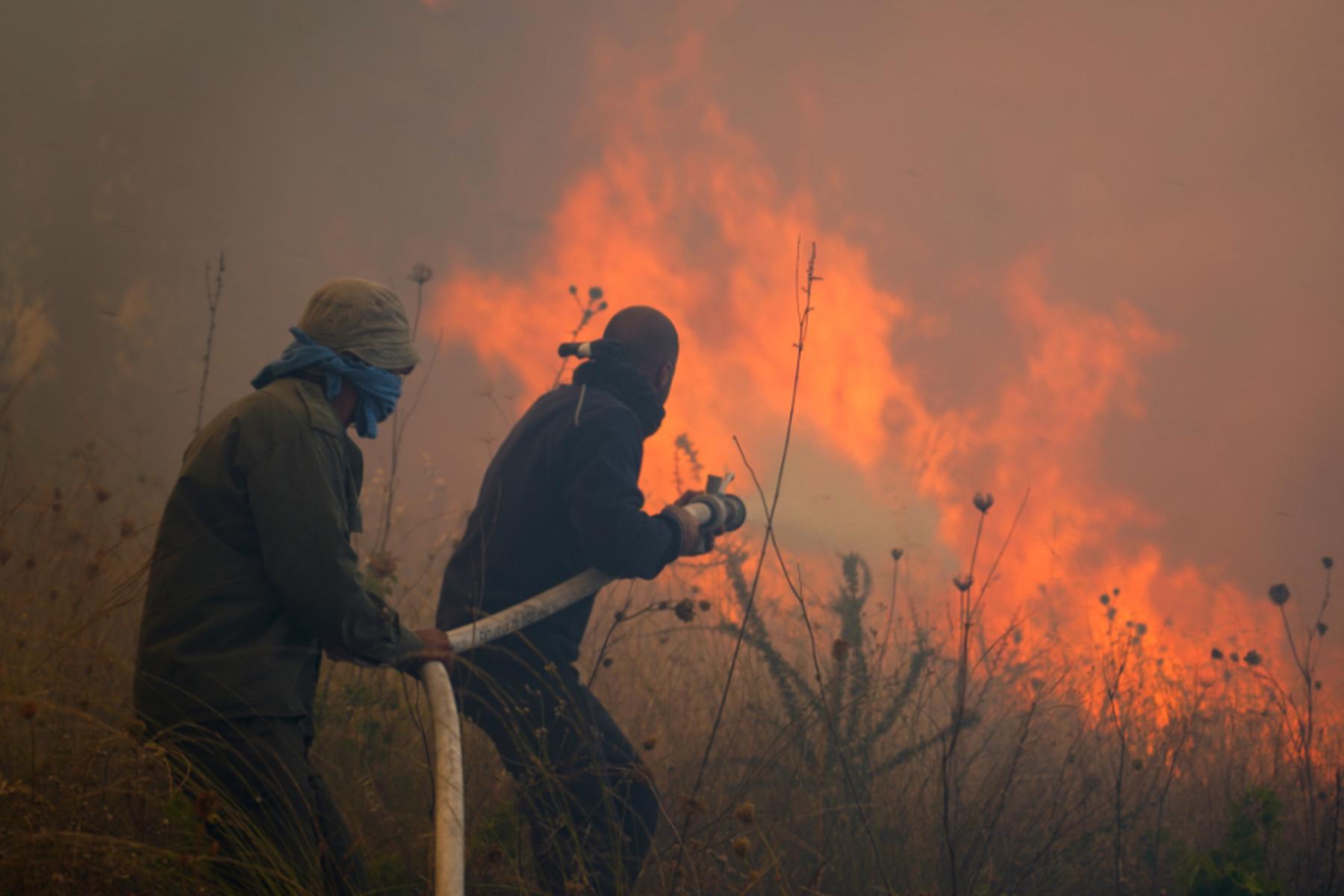 Limassol: 120 Quadratkilometer Fläche auf Zypern verbrannt