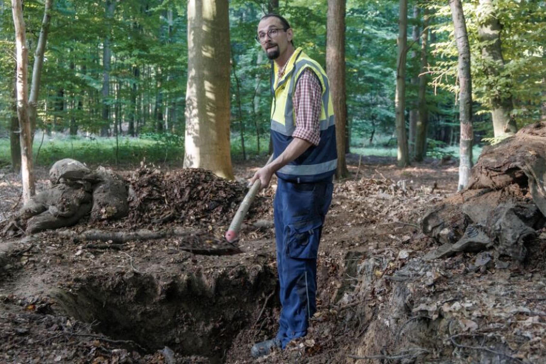 Kiel: Grabhügel aus Jungsteinzeit von Bundeswehr "teilzerstört"