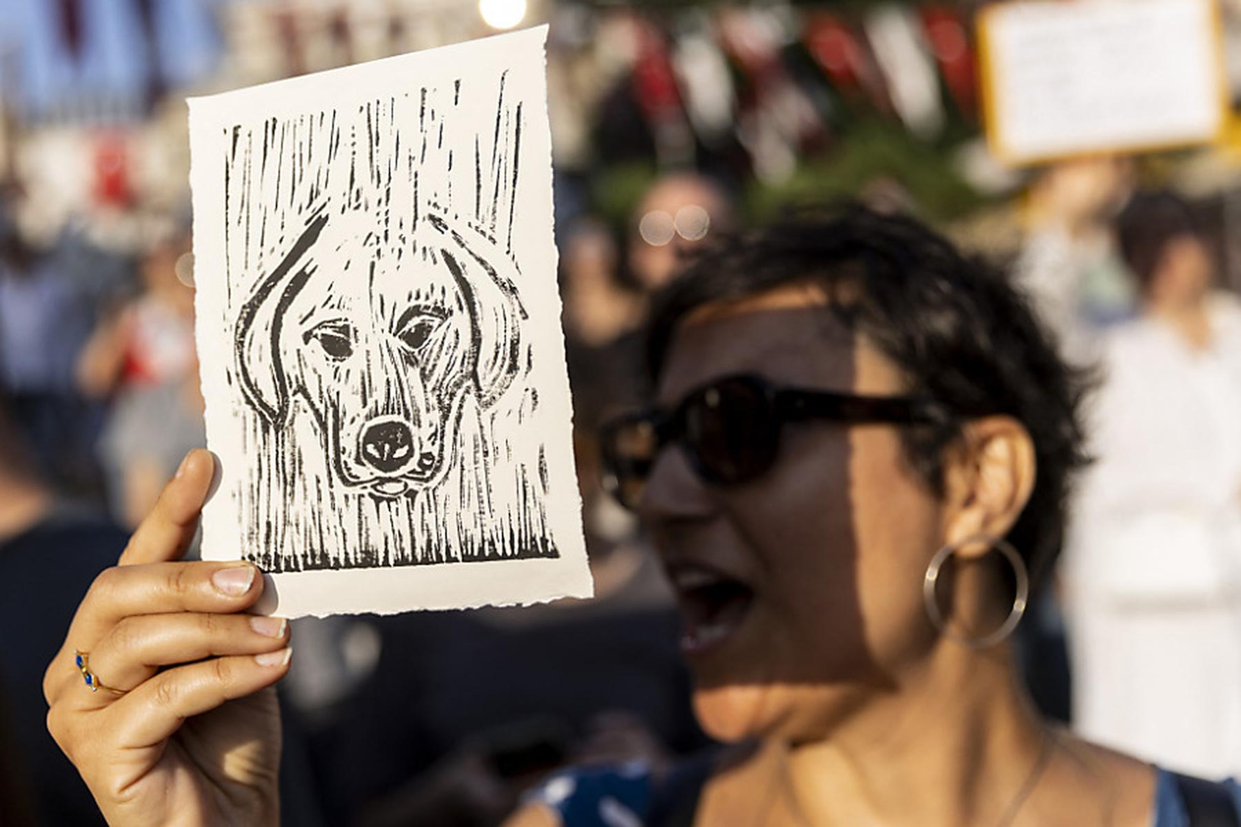 Ankara: Türkisches Parlament für Tötung von Straßenhunden