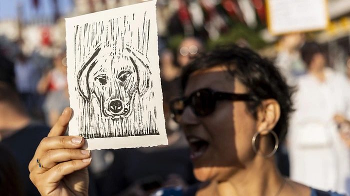 Tierschützer befürchten jedoch eine "Großkampagne" | Tierschützer befürchten jedoch eine "Großkampagne"