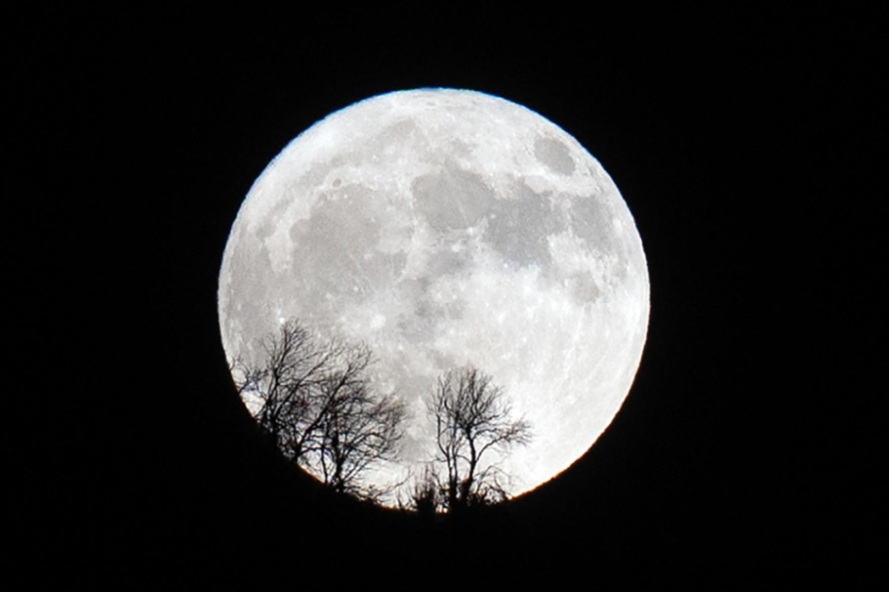 Washington: USA planen Atomreaktor auf dem Mond