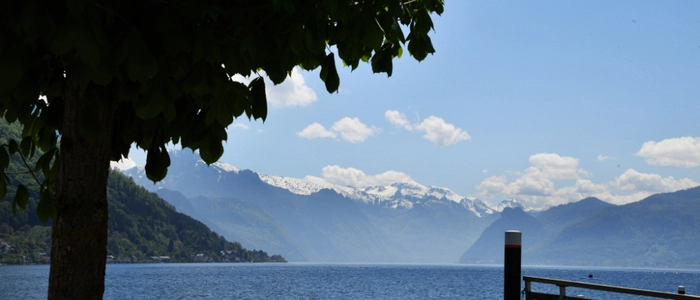 Im Zentrum der Causa steht ein Anwesen am Traunsee | Im Zentrum der Causa steht ein Anwesen am Traunsee