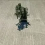 Ein einzelner Baum steht auf einer ausgetrockneten Ackerfläche | Ein einzelner Baum steht auf einer ausgetrockneten Ackerfläche