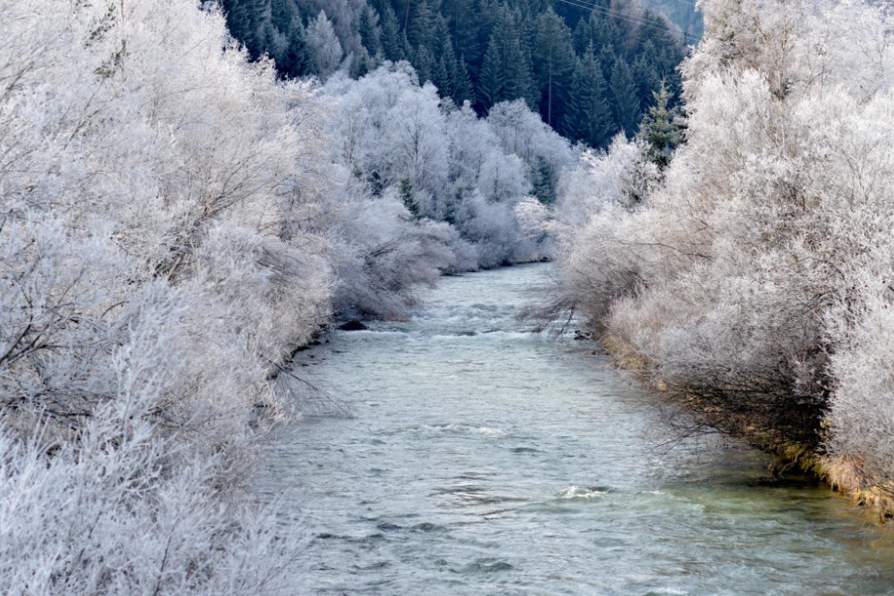 Slovenija in Avstrija bosta renaturirali reko Muro